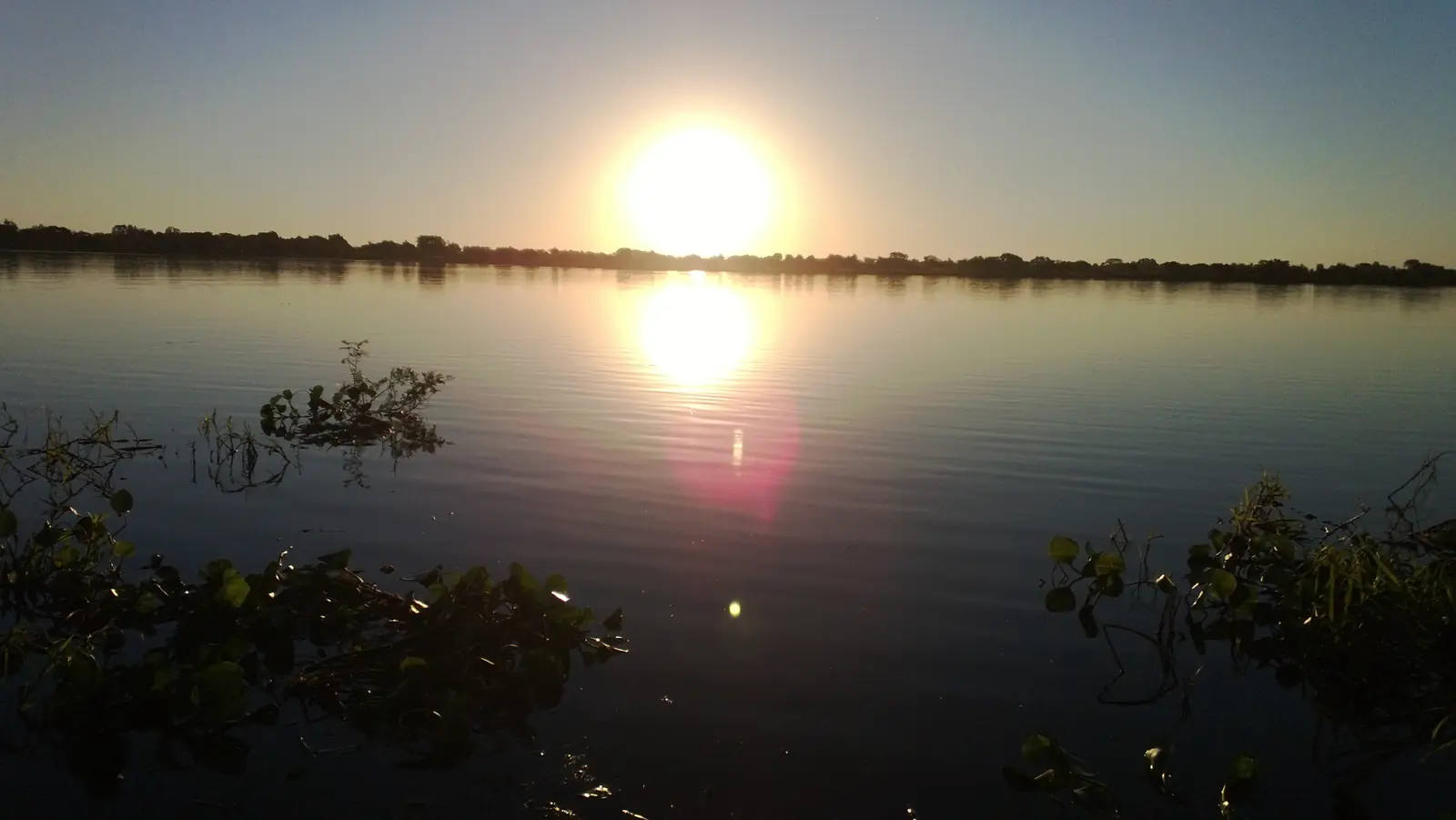 Atardecer sobre el río Paraguay, con vegetación de la ribera en primer plano
